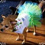 Tutu Seaside Wedding Dog Clothes