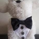 Tuxedo Dog Wedding Collar Dog Collar Pet Clothes..