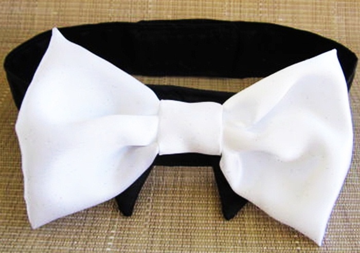 white bow tie dog collar